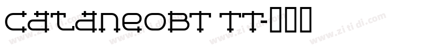 cataneoBT TT字体转换